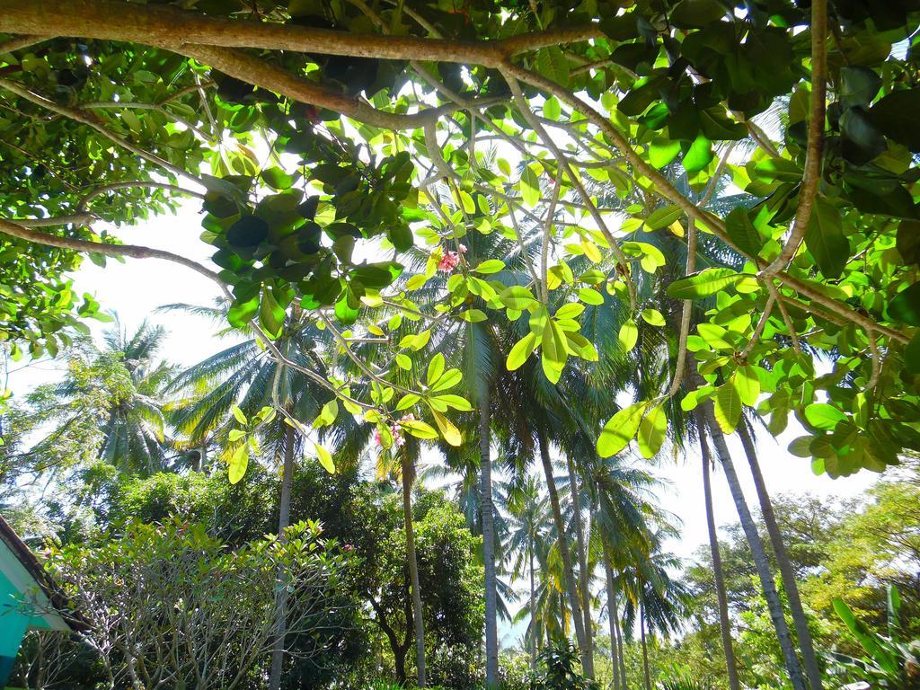 Hôtel Lazy Monkey à Senggigi Extérieur photo